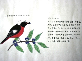 イラストには鳥の特徴や説明があります