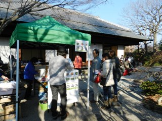 一茶双樹記念館の縁側でお茶を楽しむ皆さん