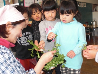 7草を興味深く見る子どもたち