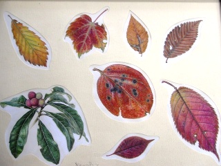 木の葉の細密画