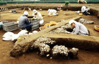 三輪野山貝塚の発掘風景