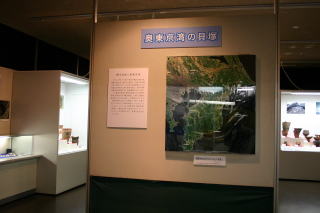 加曽利博物館の企画展