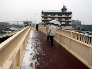 流山駅歩道橋で