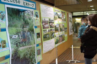 各小中学校のビオトープを写真で