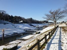 運河で積雪