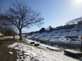 利根運河の土手に積雪
