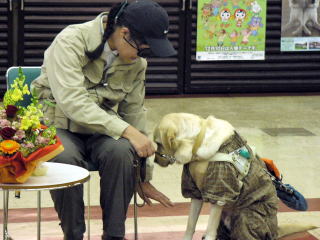 道端さんと盲導犬ホーリー