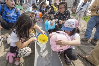 江戸川の清流を取り戻すために活動