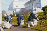 道路やあぜ道など