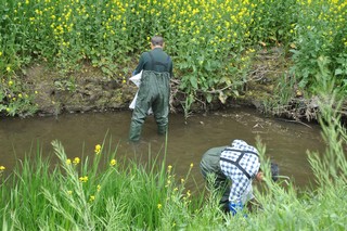 川の中でごみを回収する班の作業