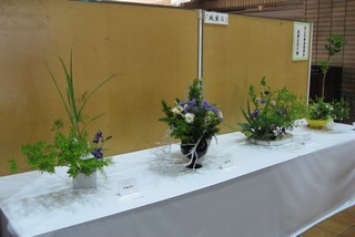 四季の花々展