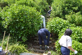 除草作業を行う生徒や地域の方たち