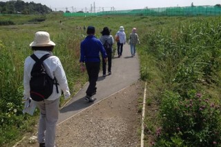 自然の多い景色を楽しめるコース