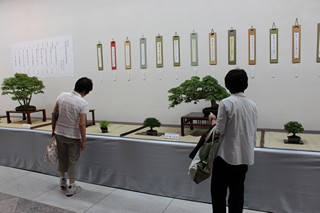 盆栽の展示