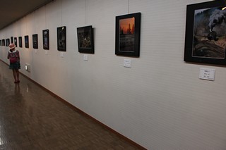 東葛飾文化祭の展示