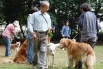 会員同士での交流や犬の訓練