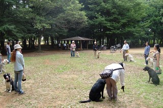 会員同士での交流や犬の訓練