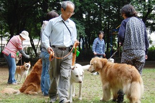 「お座り」「伏せ」などの練習