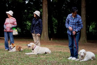 愛犬と飼い主が集合