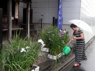 花菖蒲で彩られた庚申塔