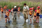 坂川の水質調査と生物調査