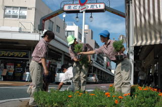 生徒たちが育てた花を