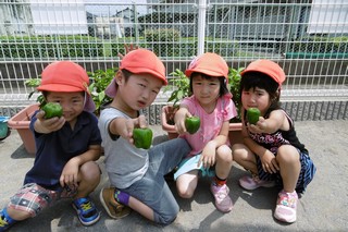 採れたよ～と嬉しそうな子どもたち