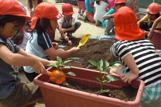 苗を植える子どもたち