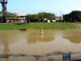 増水した利根運河