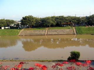 船が行き交っていたころはこのぐらい水があったのかも