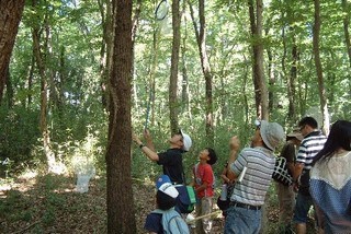 子どもたちはすぐに虫とり開始