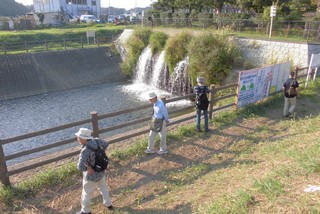 北千葉導水路の一部を利用して作られた野々下水辺公園