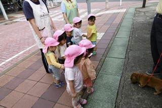 犬の散歩に興味津々