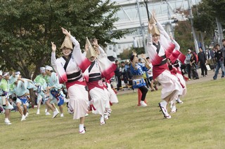 千葉葵連の皆さんが阿波踊りで元気づける