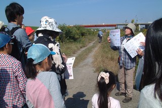 新川耕地に係る解説