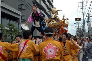 子どもが神輿の上に乗って