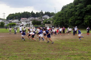 思わず夢中に