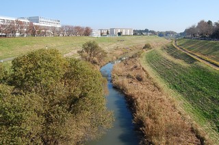 流山カントリーウォークin利根運河