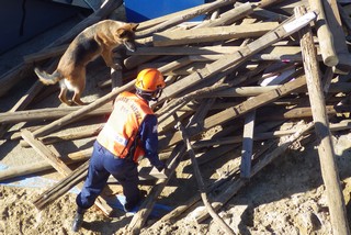 災害救助犬と一緒に要救助者のいる場所を特定