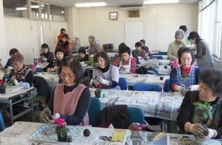 「ガーデンシクラメン」と「ヤブコウジ」の2種類の苔玉を作り