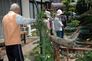 自慢の庭を公開