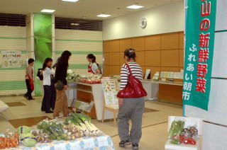 採れたて野菜がずらり　