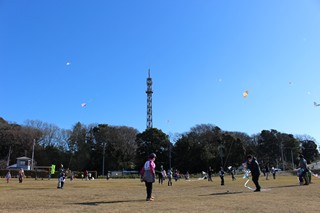 親子でたこあげを楽しむ参加者の皆さん