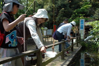 ザリガニ釣りに夢中