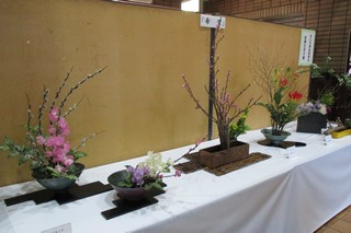 四季の花々展