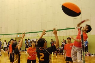 ぐるっと流山 日本ヘルスバレーボール連盟が表彰 流山市