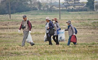 ごみ拾いを行う参加者の皆さんの写真