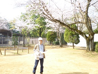 満開の桜と一緒の写真