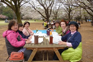 桜下でお弁当を食べる写真