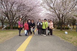 桜の下で撮った写真